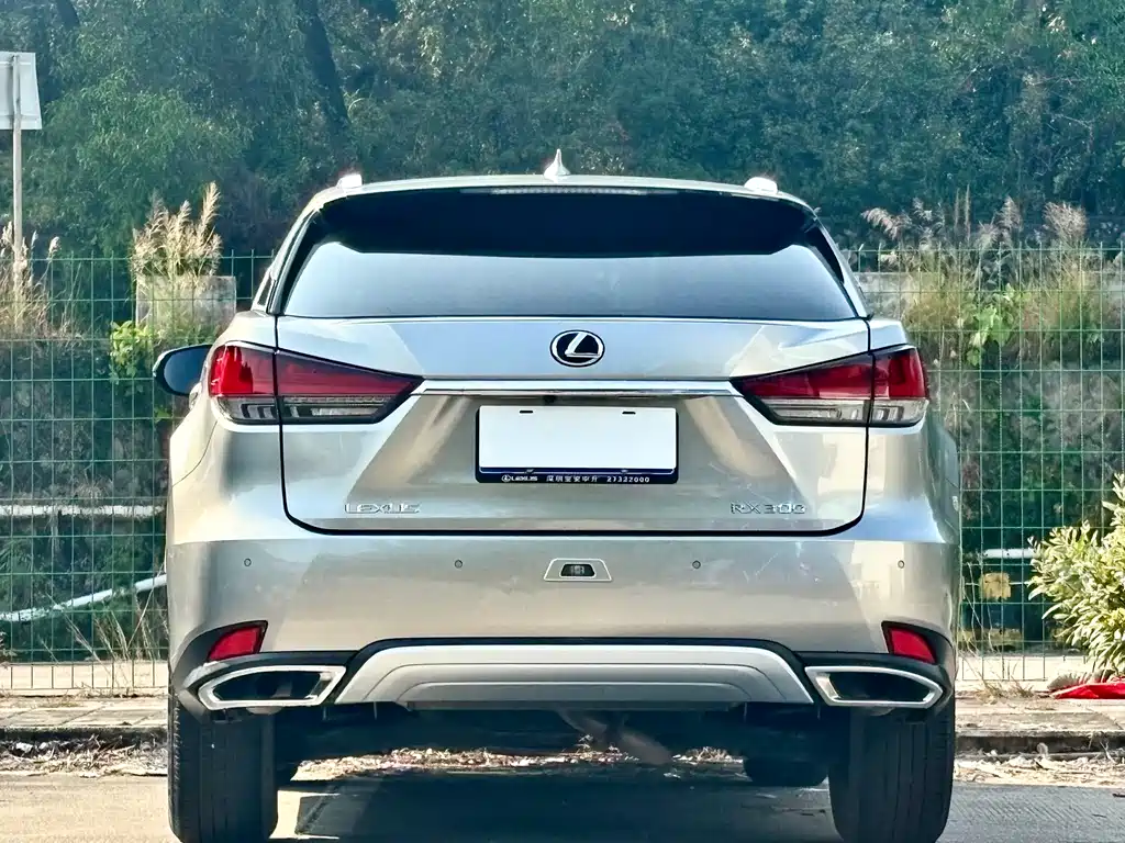 Lexus RX 2020 Modified 300 2WD Comfort Edition купить на сайте DeffCars