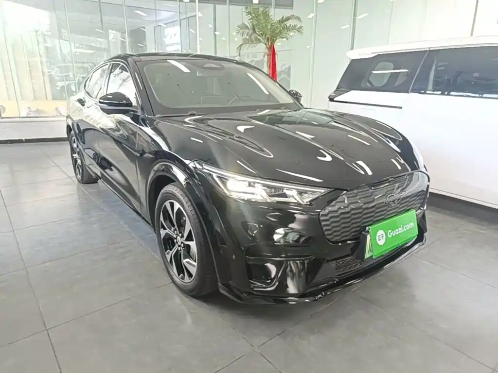 Ford Mustang Mach-E 2021 Borderless Rear Drive Deluxe Edition Long Range купить на сайте DeffCars