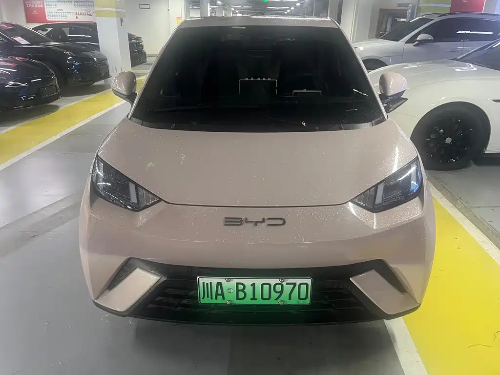 Seagull 2023 Vitality Edition купить на сайте DeffCars
