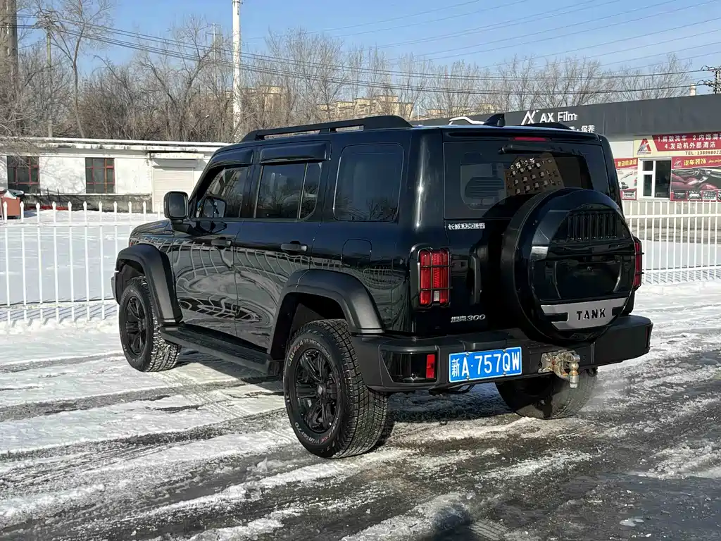 Tank 300 2023 Off-Road Version 2.0T Conqueror купить на сайте DeffCars