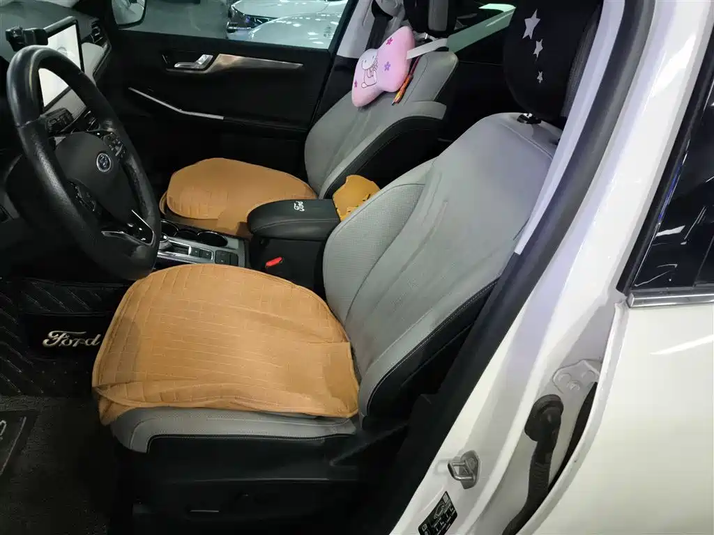 Ruiji 2020 EcoBoost 245 two-wheel drive Yaoxiang model купить на сайте DeffCars