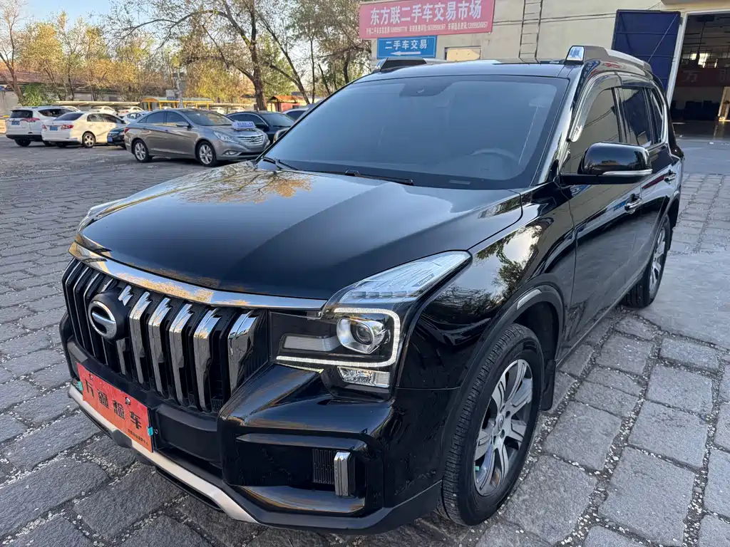 Trumpchi GS8 2020 390T two-wheel drive luxury version (five seats) купить на сайте DeffCars