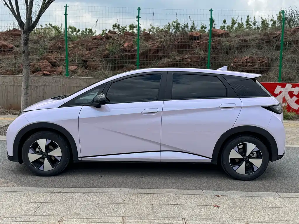 Dolphin 2023 420km Fashion Edition купить на сайте DeffCars