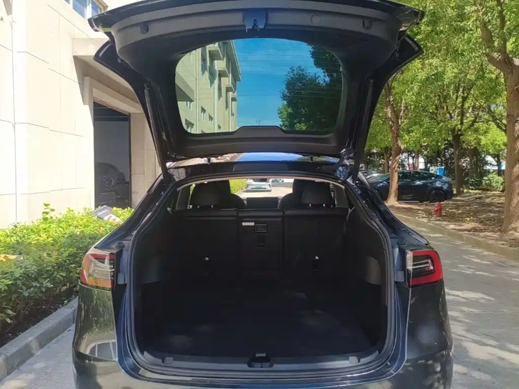 Model Y 2024 long-range all-wheel drive version купить на сайте DeffCars