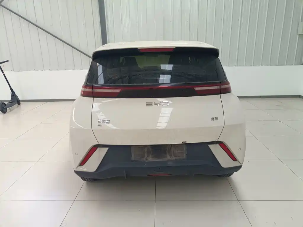 Seagull 2024 Honor Edition 305km Vitality Edition купить на сайте DeffCars