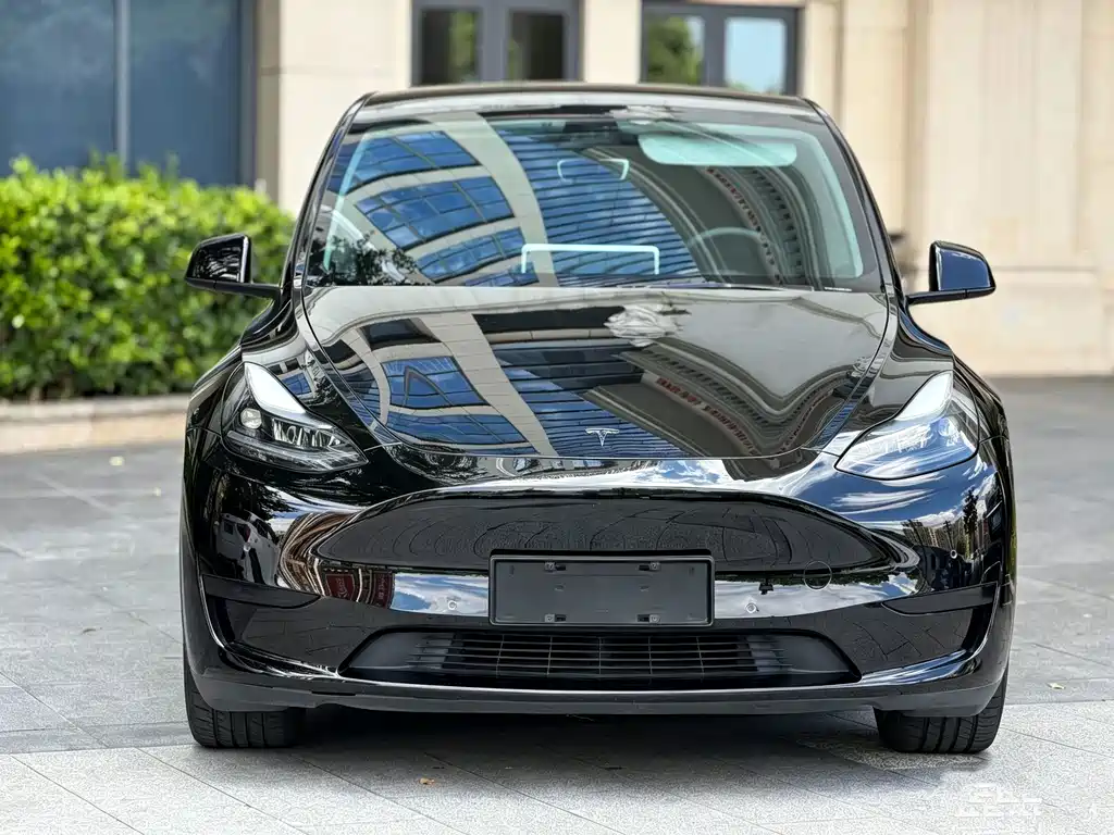 Model Y 2022 rear-wheel drive version купить на сайте DeffCars