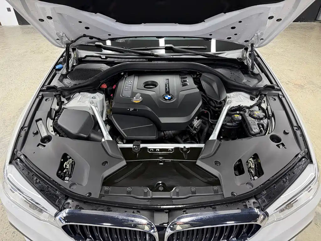 BMW 5 Series 2020 530Li Leading M Sports Package купить на сайте DeffCars