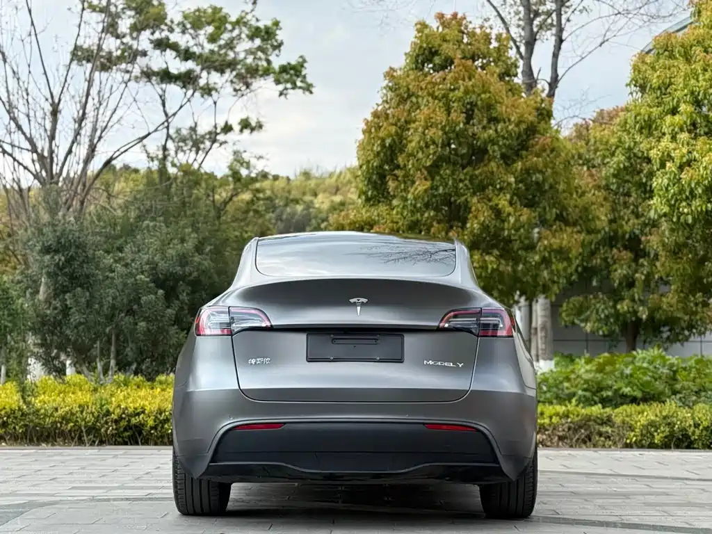 Model Y 2021 standard range rear-wheel drive version купить на сайте DeffCars