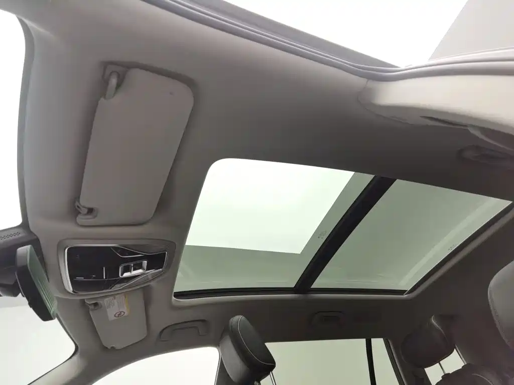 Lingyu 2021 EcoBoost 225 collar type 7 seats (2/2/3) купить на сайте DeffCars