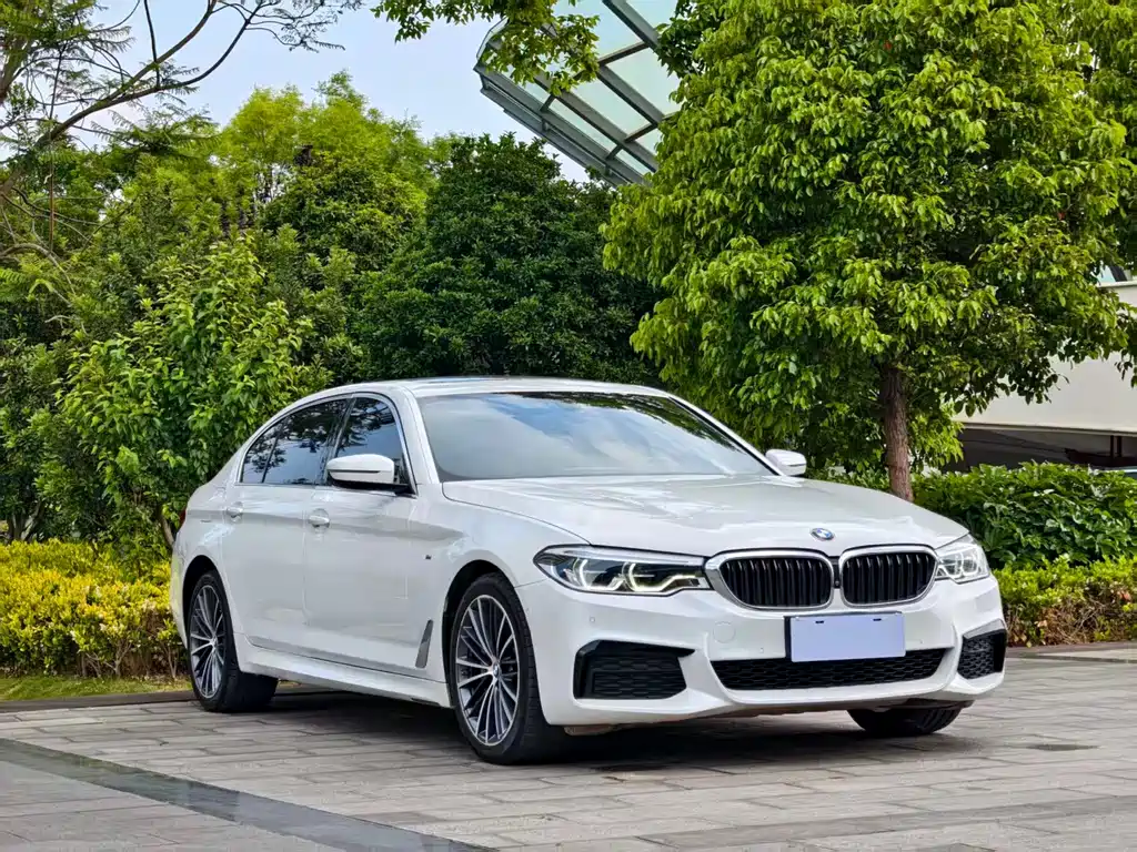 BMW 5 Series 2020 530Li Leading M Sports Package купить на сайте DeffCars