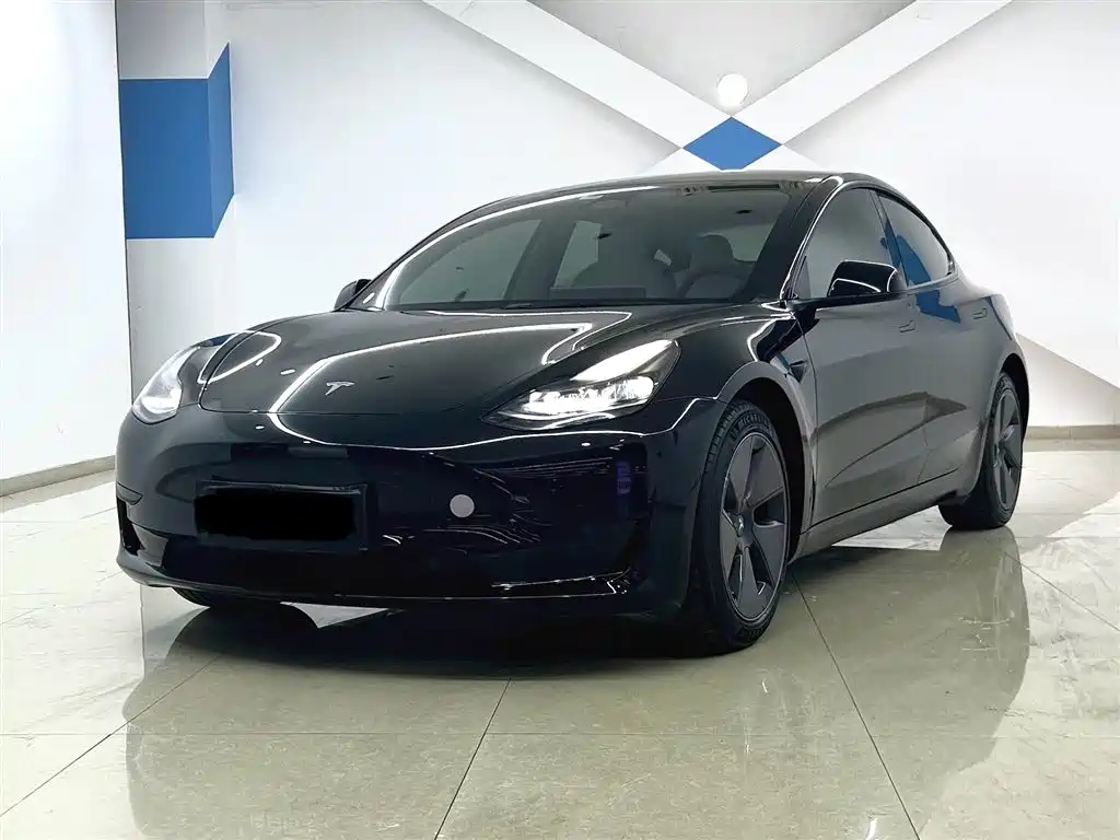 Model 3 2022 rear-wheel drive version купить на сайте DeffCars