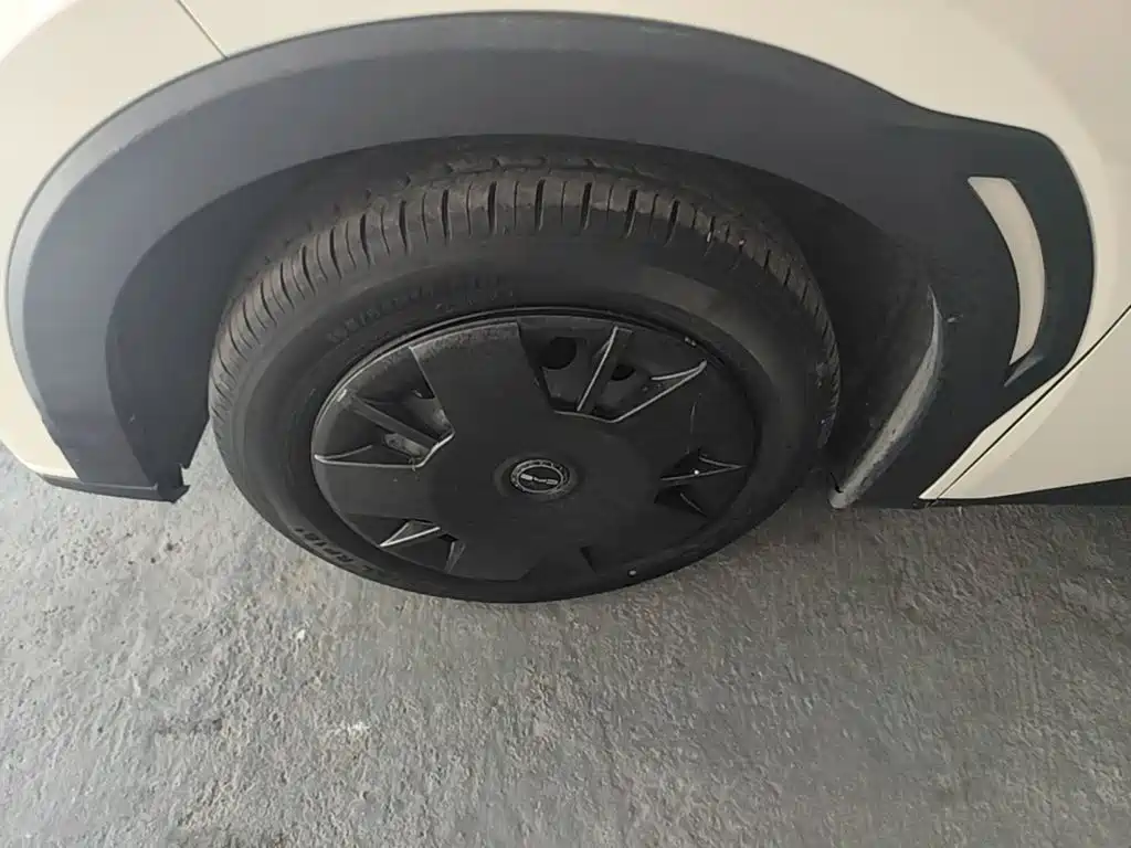 Seagull 2024 Honor Edition 305km Vitality купить на сайте DeffCars