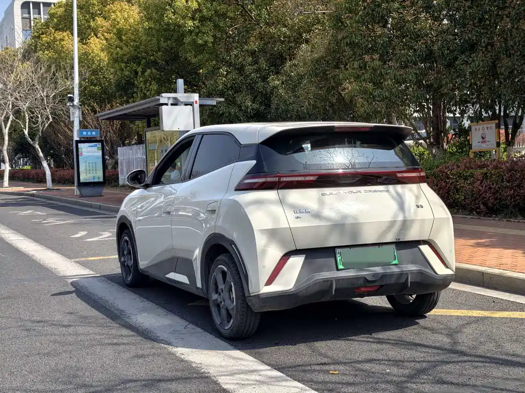 Seagull 2024 Honor Edition 305km Free Edition купить на сайте DeffCars
