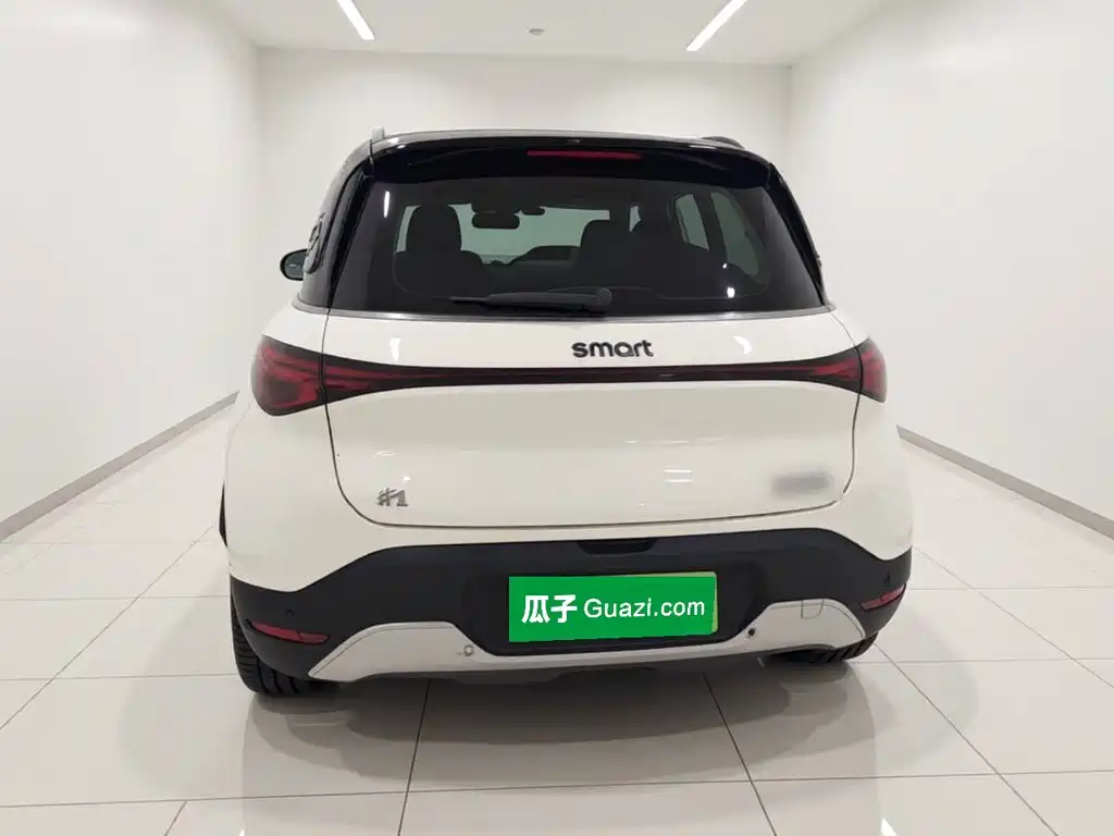 smart Elf #1 2022 Pro+ version купить на сайте DeffCars