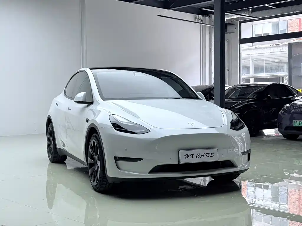 Model Y 2021 long-range all-wheel drive version купить на сайте DeffCars