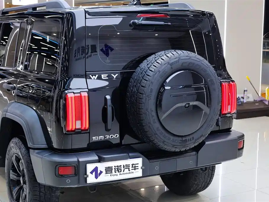 Tank 300 2021 Off-Road Version 2.0T Conqueror купить на сайте DeffCars