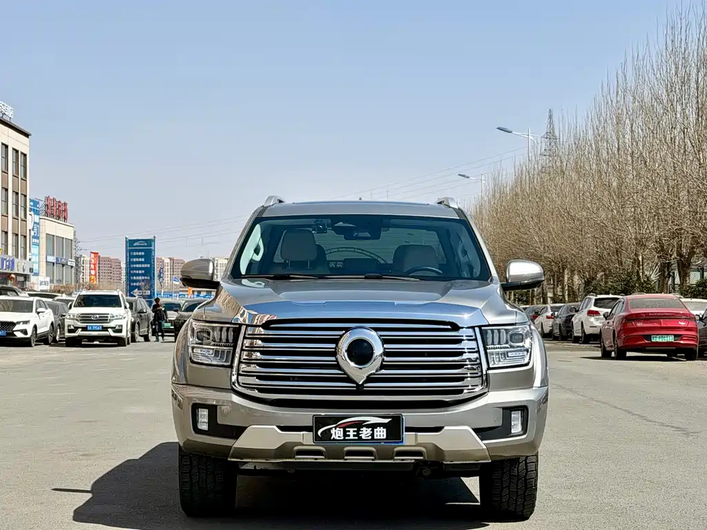 Shanhaipao 2023 3.0T V6 Gasoline Extreme Edition купить на сайте DeffCars
