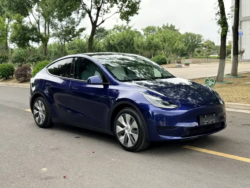 Model Y 2022 rear-wheel drive купить на сайте DeffCars