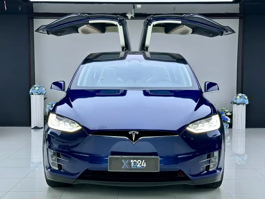 Model X 2017 Model X 100D Long Range Edition купить на сайте DeffCars