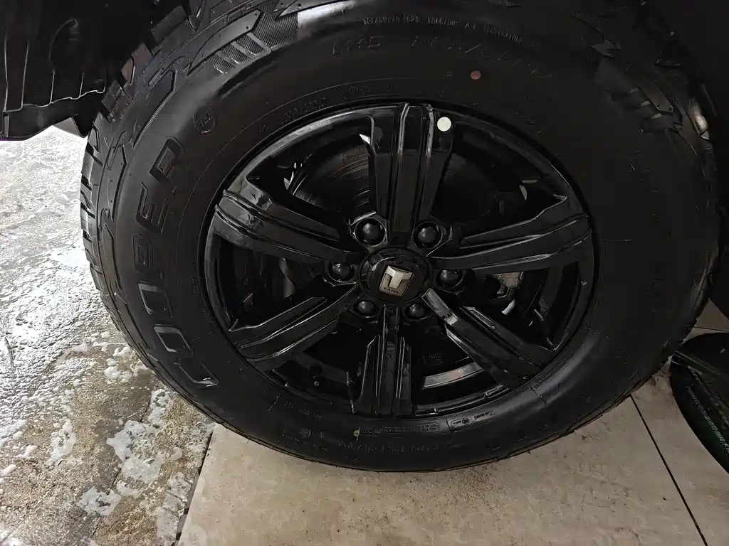 Tank 300 2021 Off-Road Version 2.0T Conqueror купить на сайте DeffCars