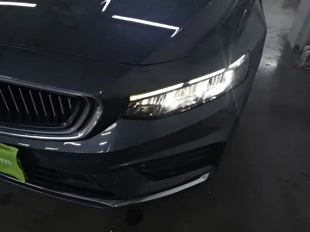 Xingrui 2021 2.0TD luxury model купить на сайте DeffCars