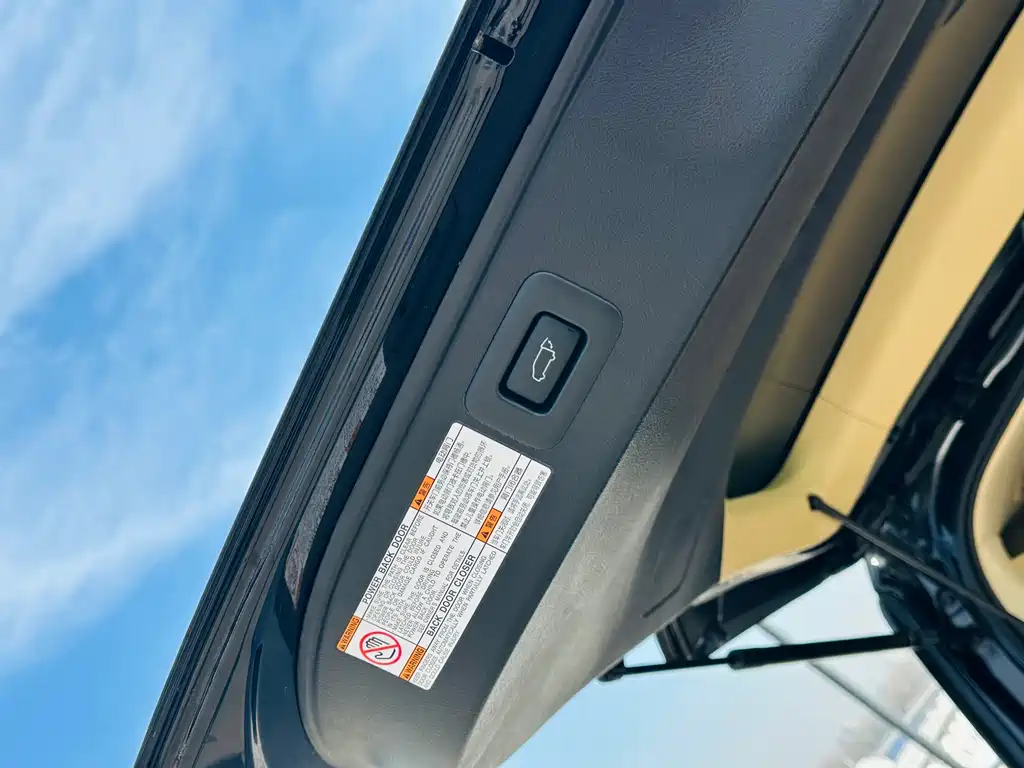 Wilfa 2020 Shuangqing 2.5L Black Gold Limited Edition купить на сайте DeffCars