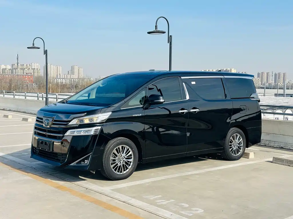 Wilfa 2020 Shuangqing 2.5L Black Gold Limited Edition купить на сайте DeffCars