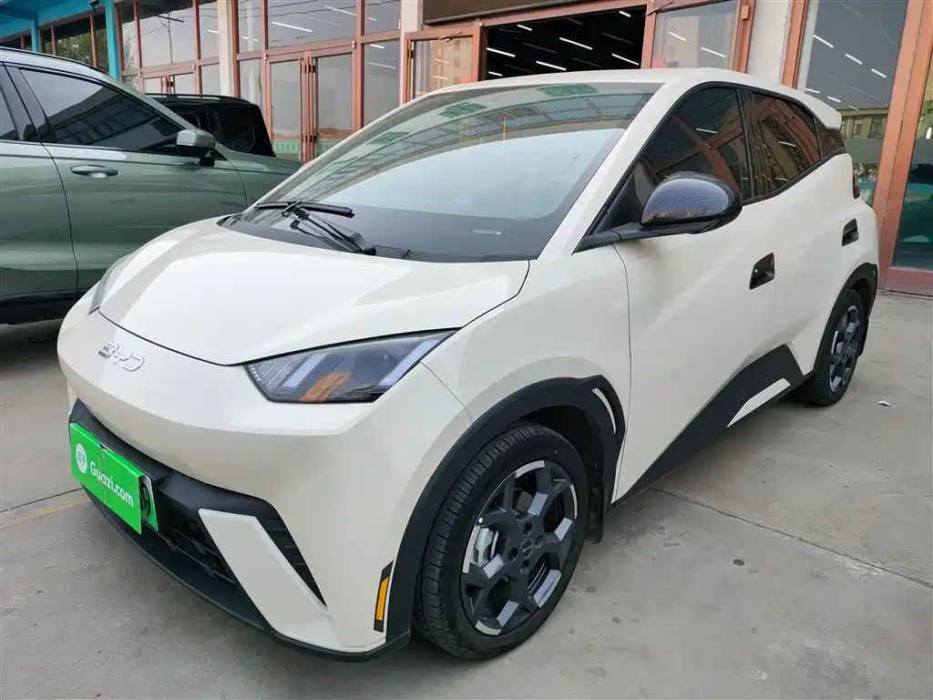 Seagull 2025 305km Free Edition купить на сайте DeffCars