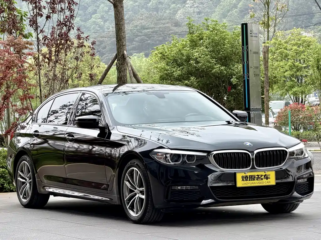 BMW 5 Series 2019 525Li M Sports Package купить на сайте DeffCars