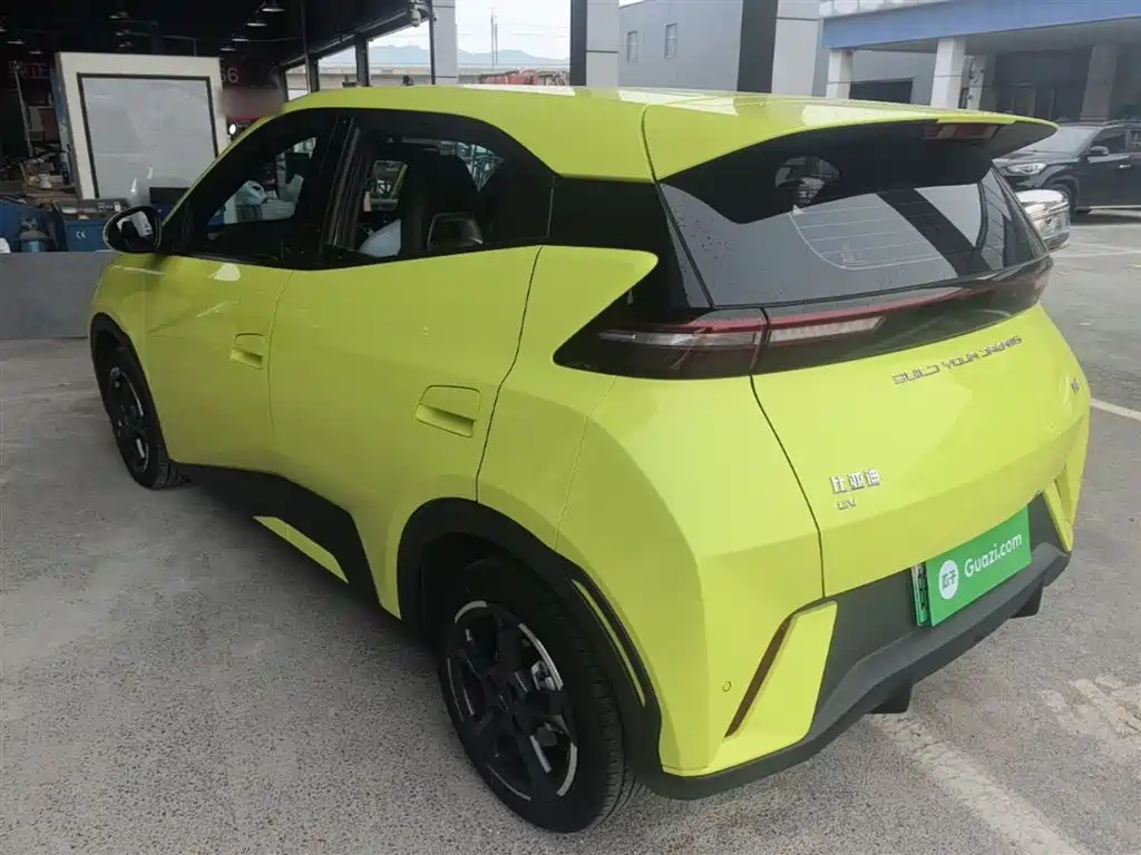 Seagull 2024 Honor Edition 305km Free Edition купить на сайте DeffCars