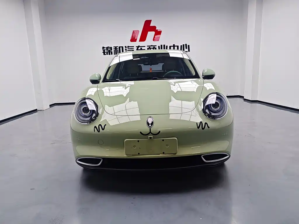 Euler Good Cat 2023 model 401km standard battery life luxury model lithium iron phosphate купить на сайте DeffCars