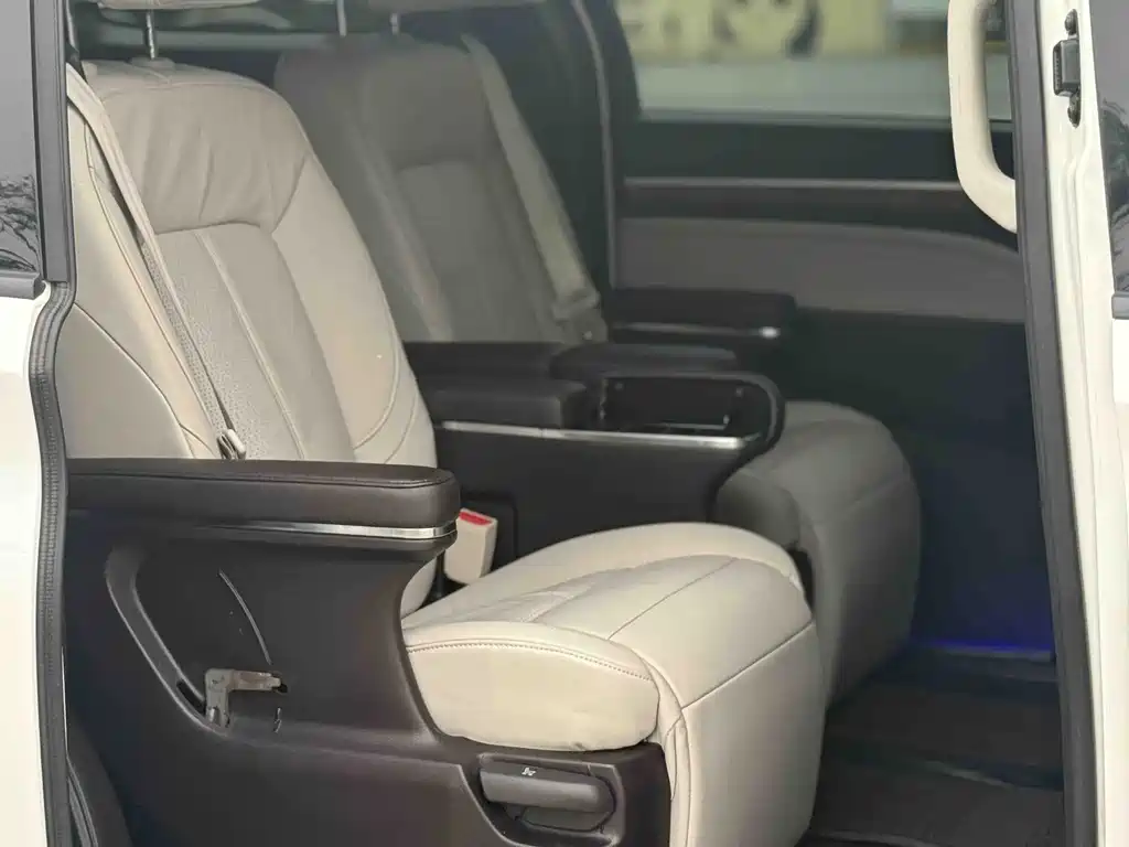 Trumpchi M8 2021 Lead Show Series 390T Exclusive Edition купить на сайте DeffCars