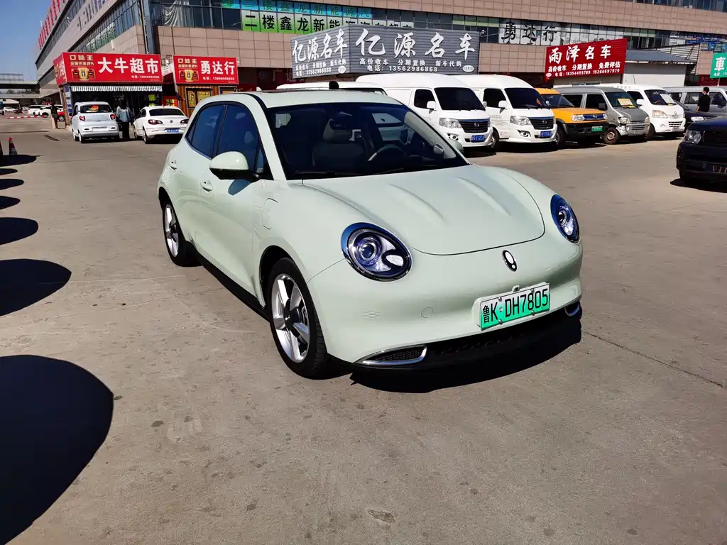 Euler Good Cat 2023 Model 401km Standard Range Honor Type Lithium Iron Phosphate купить на сайте DeffCars