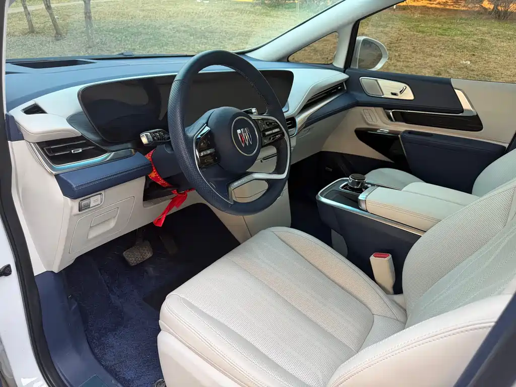 Century 2023 2.0T Six-seater Yuanshi Edition купить на сайте DeffCars