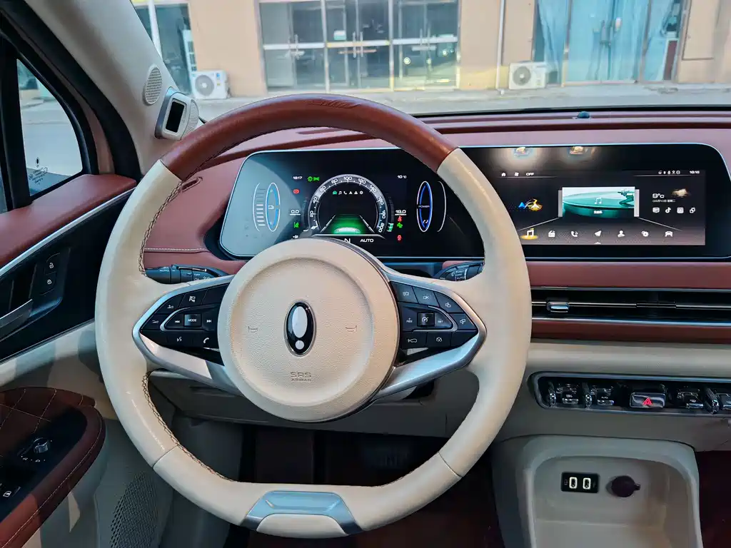 Euler Good Cat 2022 model 400km standard battery life premium type ternary lithium купить на сайте DeffCars