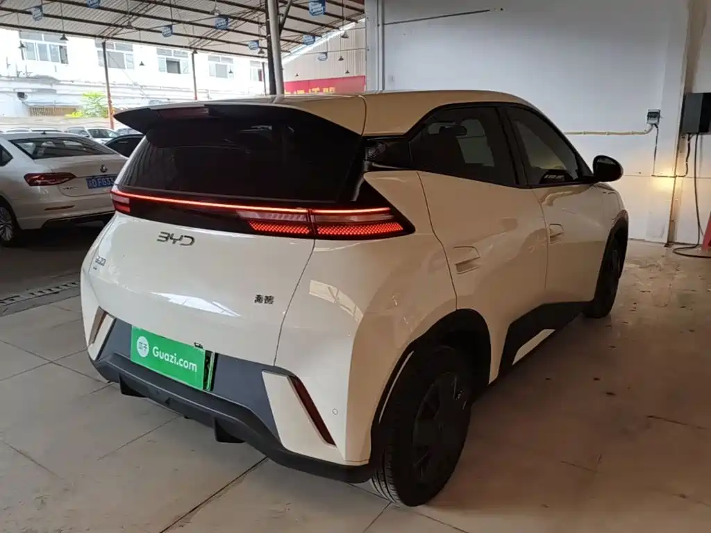 Seagull 2025 305km active version купить на сайте DeffCars