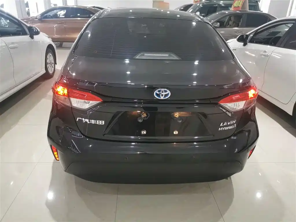 Ralink 2023 Intelligent Electric Hybrid Dual Engine 1.8L Leading Edition купить на сайте DeffCars