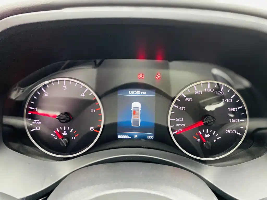 Cannon 2021 2.0T passenger global version automatic diesel four-wheel drive comfort standard box trailer version GW4D20M купить на сайте DeffCars