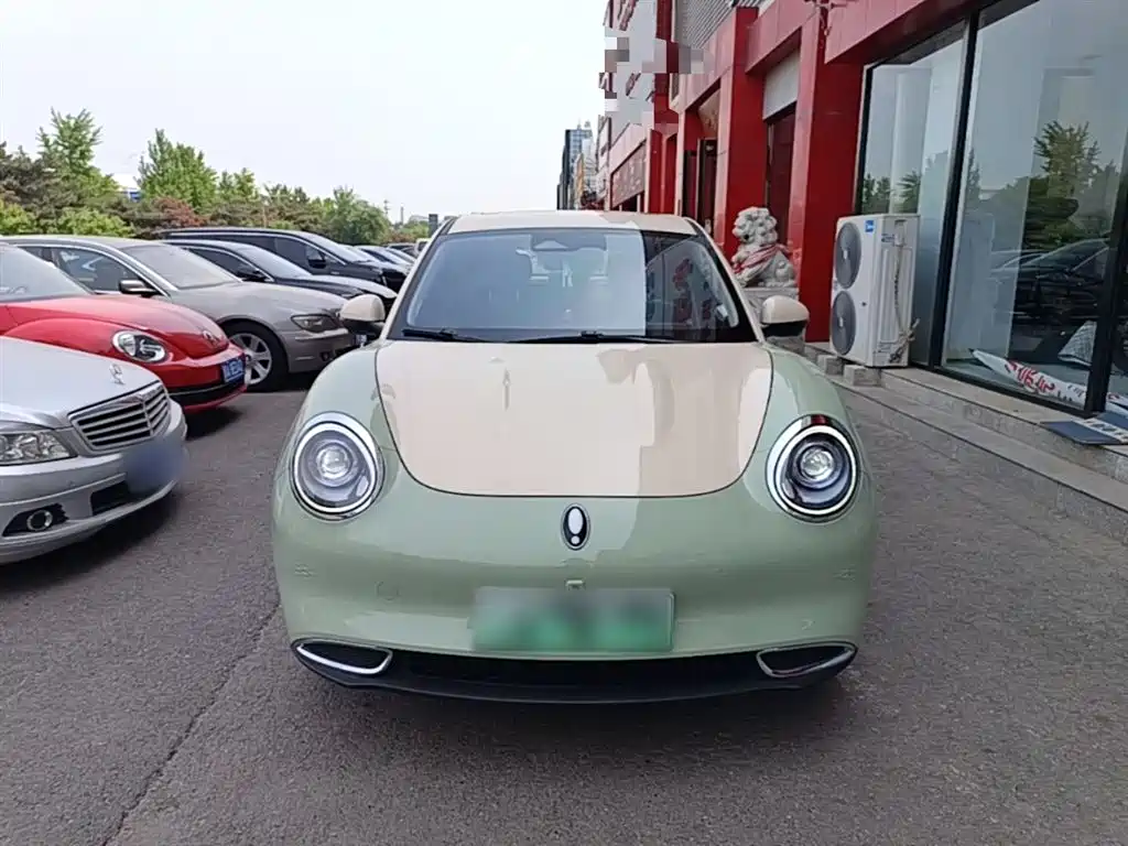 Euler Good Cat 2021 model 400km standard battery life Athena version ternary lithium купить на сайте DeffCars