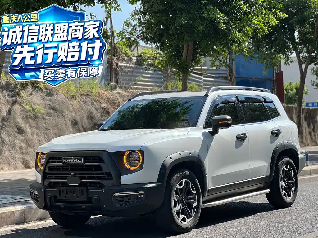 Havaldog 2024 2.0T DCT Chinese Pastoral Dog Edition купить на сайте DeffCars
