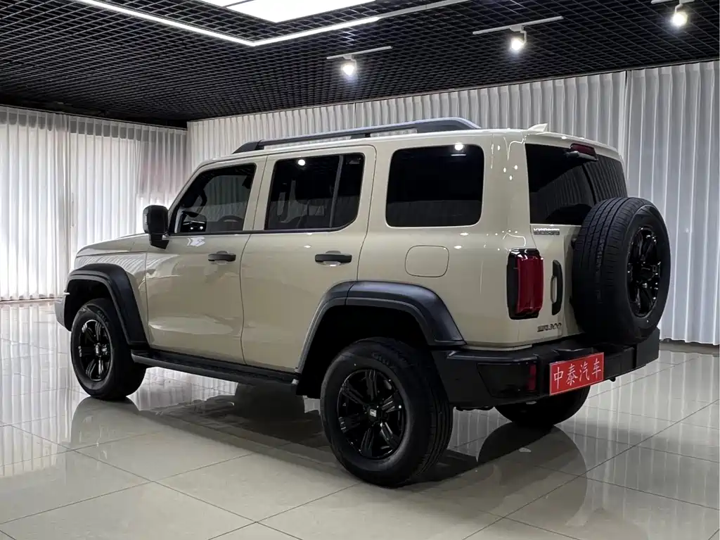 Tank 300 2025 2.0T Gasoline Conqueror купить на сайте DeffCars