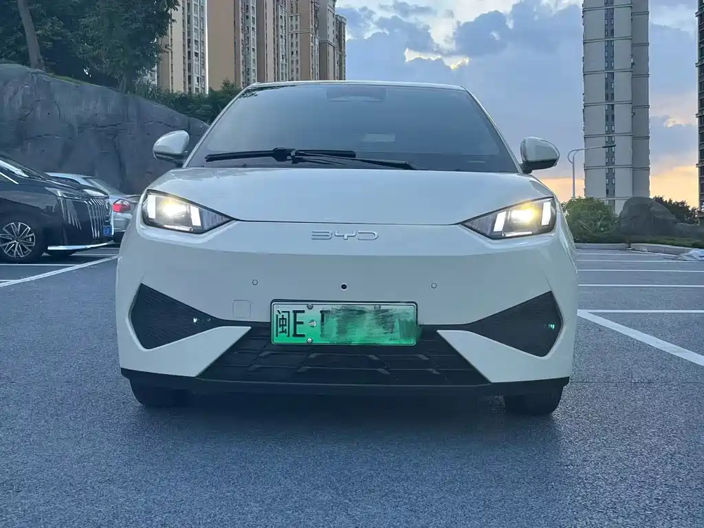 Seagull 2025 smart driving version 305km free version купить на сайте DeffCars