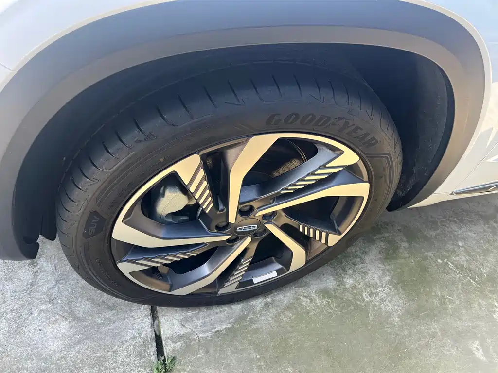 Xingyue L 2021 2.0TD high-power automatic four-wheel drive flagship model купить на сайте DeffCars