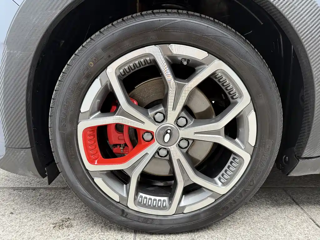 Euler Good Cat GT 2024 Mulan Edition 401km Luxury Model купить на сайте DeffCars