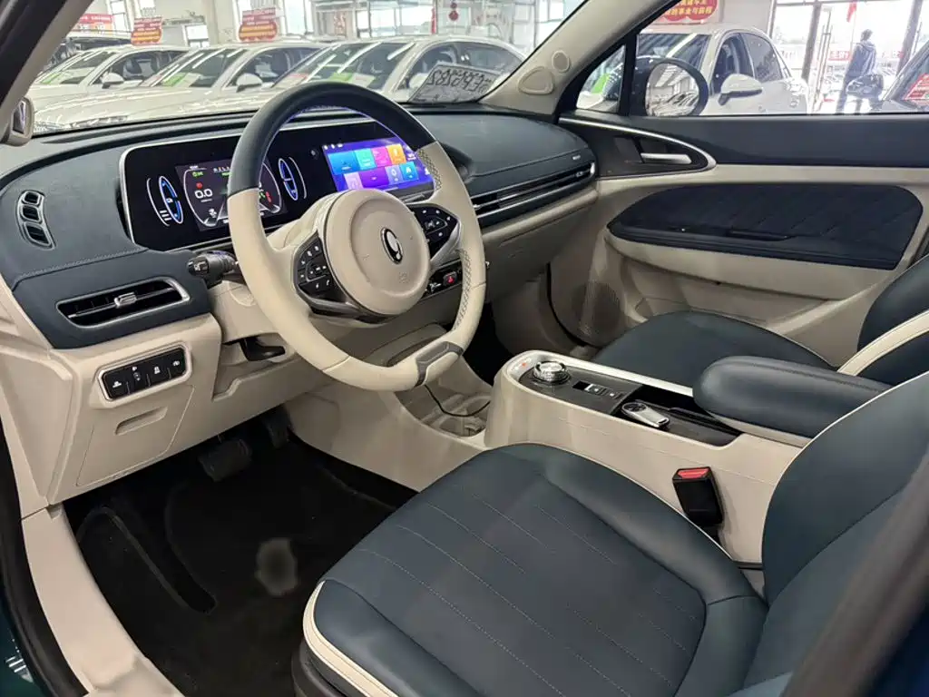 Euler Good Cat 2021 Model 400km Standard Range Athena Edition Lithium Iron Phosphate купить на сайте DeffCars