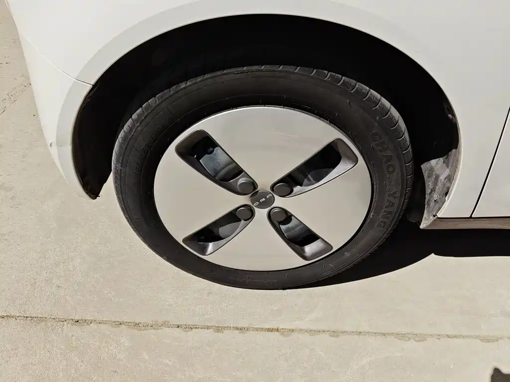 Euler Black Cat 2021 301km Cute Pet Edition купить на сайте DeffCars