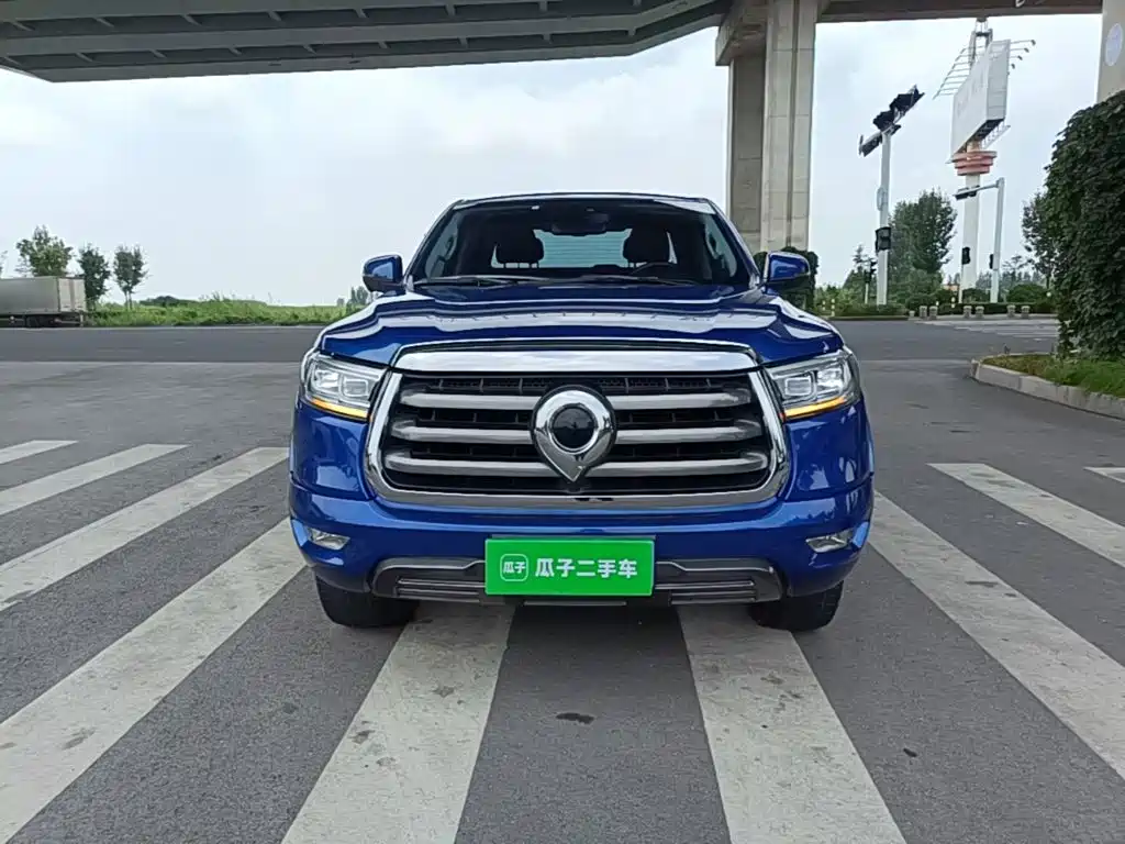 Cannon 2020 2.0T automatic diesel two-wheel drive comfort version GW4D20M купить на сайте DeffCars