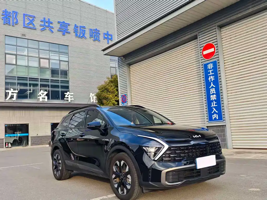 Lion Platinum Extension 2025 2.0T two-wheel drive premium version купить на сайте DeffCars