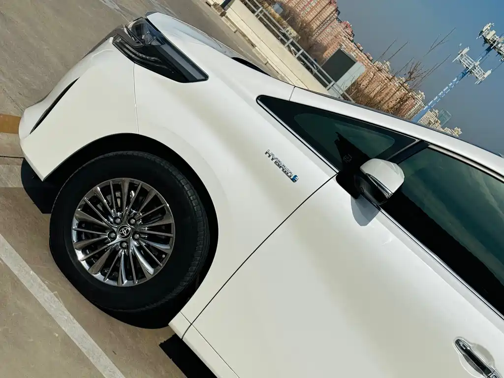 Alfa 2021 Shuangqing 2.5L Premium Edition купить на сайте DeffCars