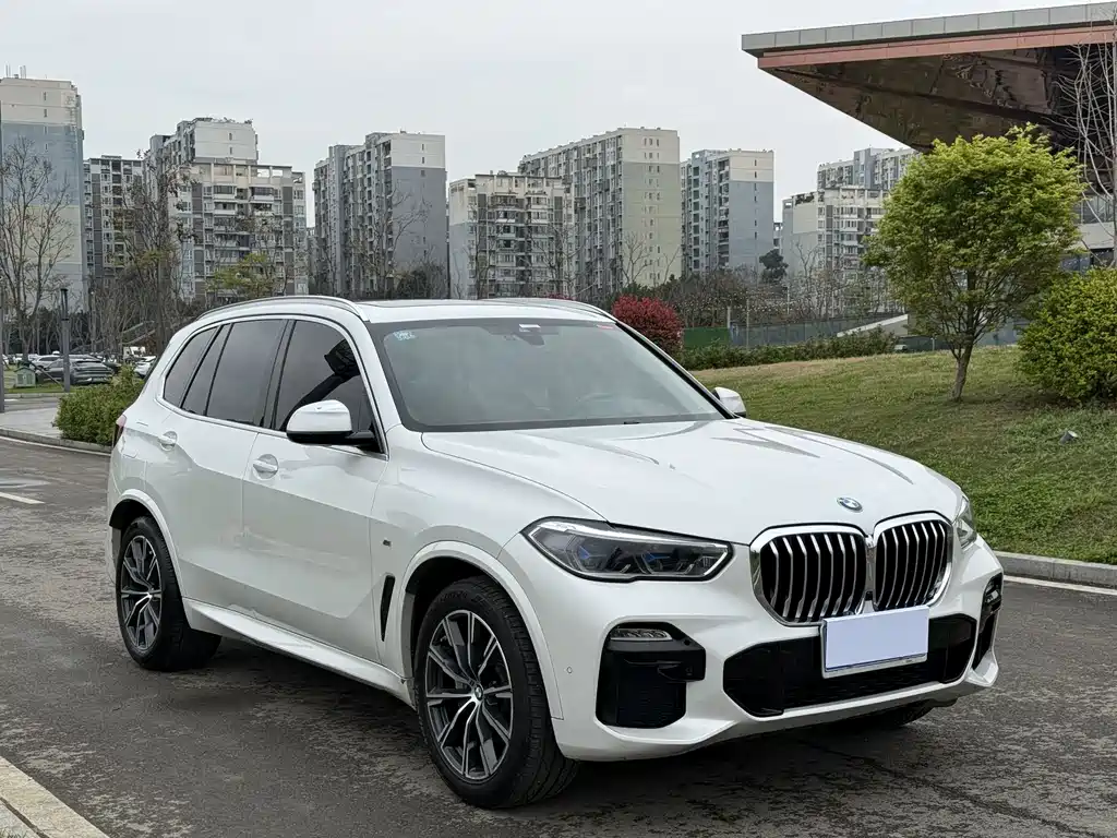 BMW X5 imported 2019 xDrive40i M sports package купить на сайте DeffCars